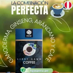 Café de Ganoderma y Arándanos HGW ☕ |  Berry Gano Coffee - Defensas