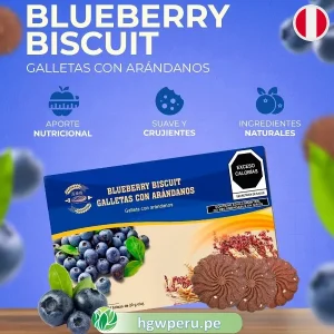 Galletas con Arándanos y Trigo HGW 🍪| Nutritivas Blueberry Biscuit