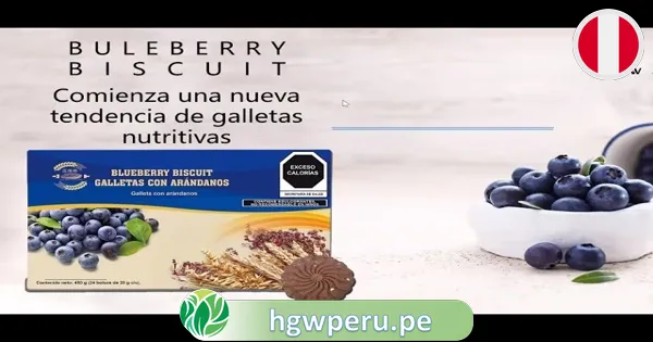 Galletas con Arándanos y Trigo HGW 🍪| Nutritivas Blueberry Biscuit 5 Galletas con Arándanos y Trigo HGW 🍪| Nutritivas Blueberry Biscuit - Imagen 5