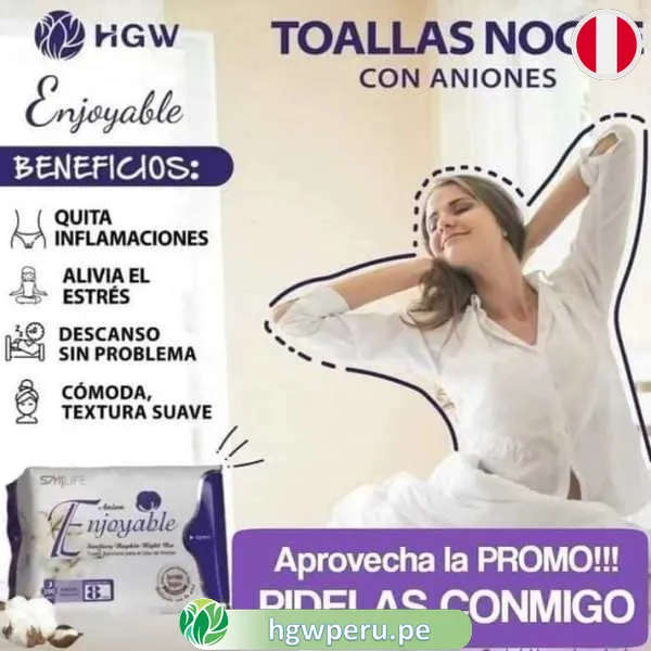 Toallas Higiénicas Noche HGW 🌙 | Banda de Anión y Protección 8h 1 Toallas Higiénicas Noche HGW 🌙 | Banda de Anión y Protección 8h