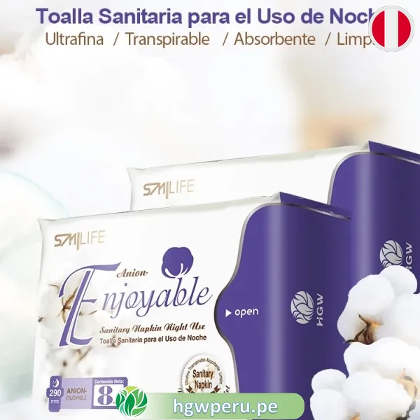 Toallas Higiénicas Noche HGW 🌙 | Banda de Anión y Protección 8h 2 Toallas Higiénicas Noche HGW 🌙 | Banda de Anión y Protección 8h - Imagen 2